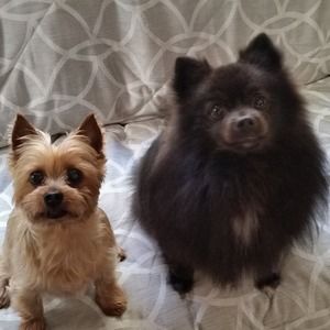 Meet your Posher, Christine